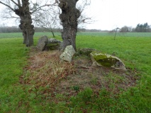 Kermadoué Dolmen 1