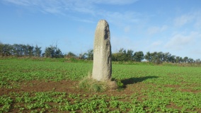 Mezdoun menhirs