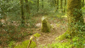 Menhir le Royal