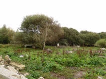 Dolmen de Kerizella