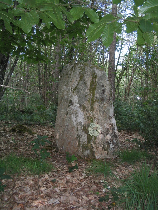 Click for the gallery page to add comments and vote (PID:194970) Menhir de Guily