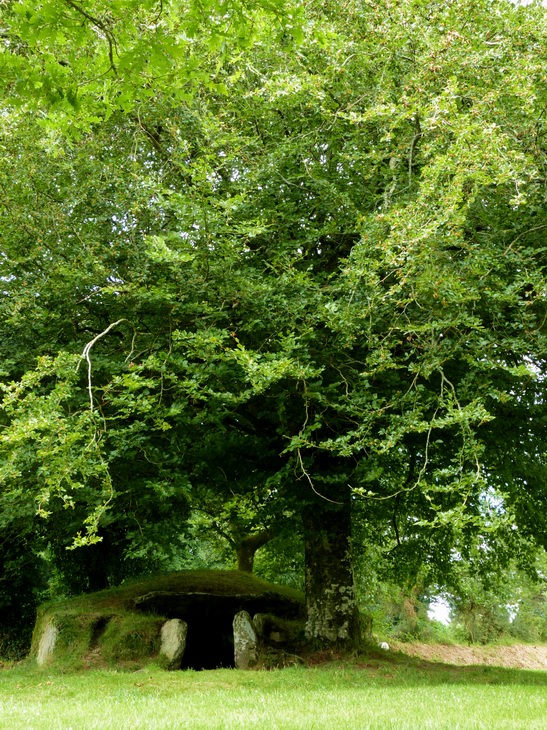 Ty ar Boudiquet dolmen