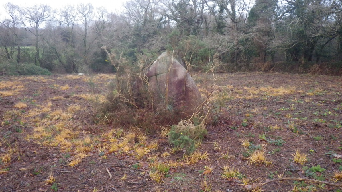 Click for the gallery page to add comments and vote (PID:277844) Menhir du Château d'eau