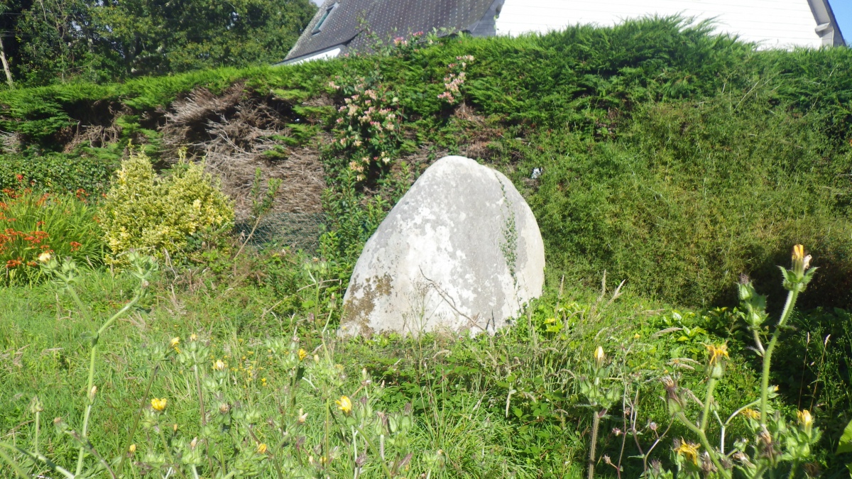 Click for the gallery page to add comments and vote (PID:288494) Menhir de la Fontaine (Plozévet)