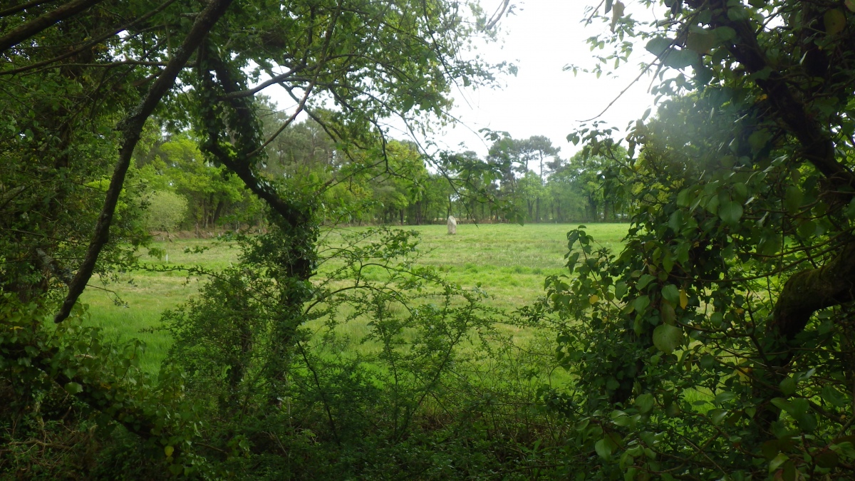 Click for the gallery page to add comments and vote (PID:284312) Lestenac'h Menhir