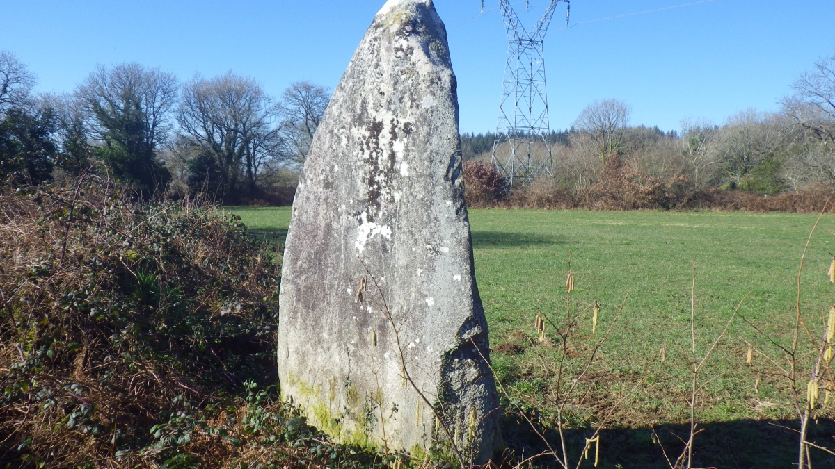 Alignement de Leintant