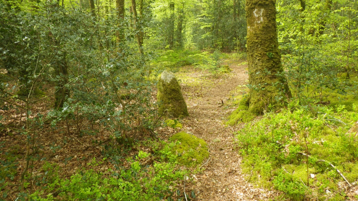 Menhir le Royal