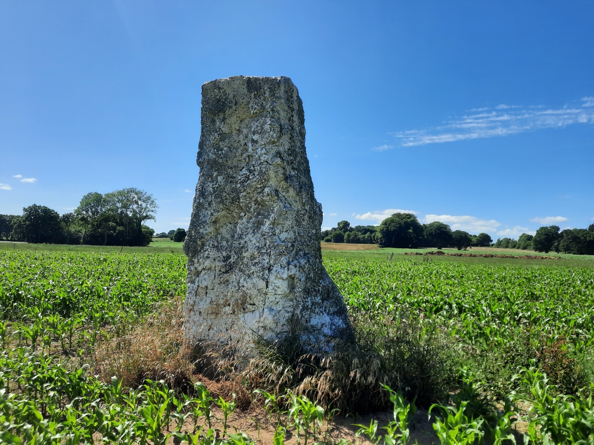 Click for the gallery page to add comments and vote (PID:245987) La Roche Carrée