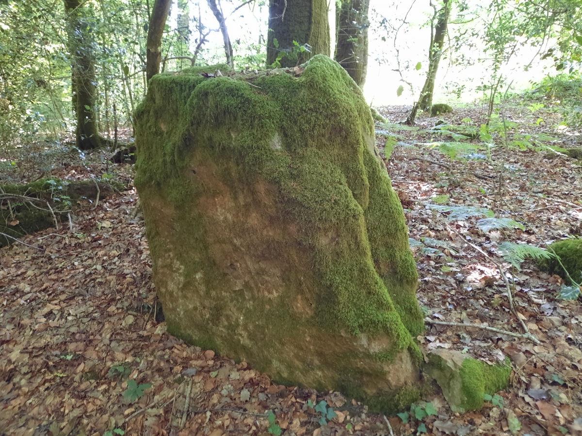 Click for the gallery page to add comments and vote (PID:246100) Menhir de la Forêt de Haute-Sève 2