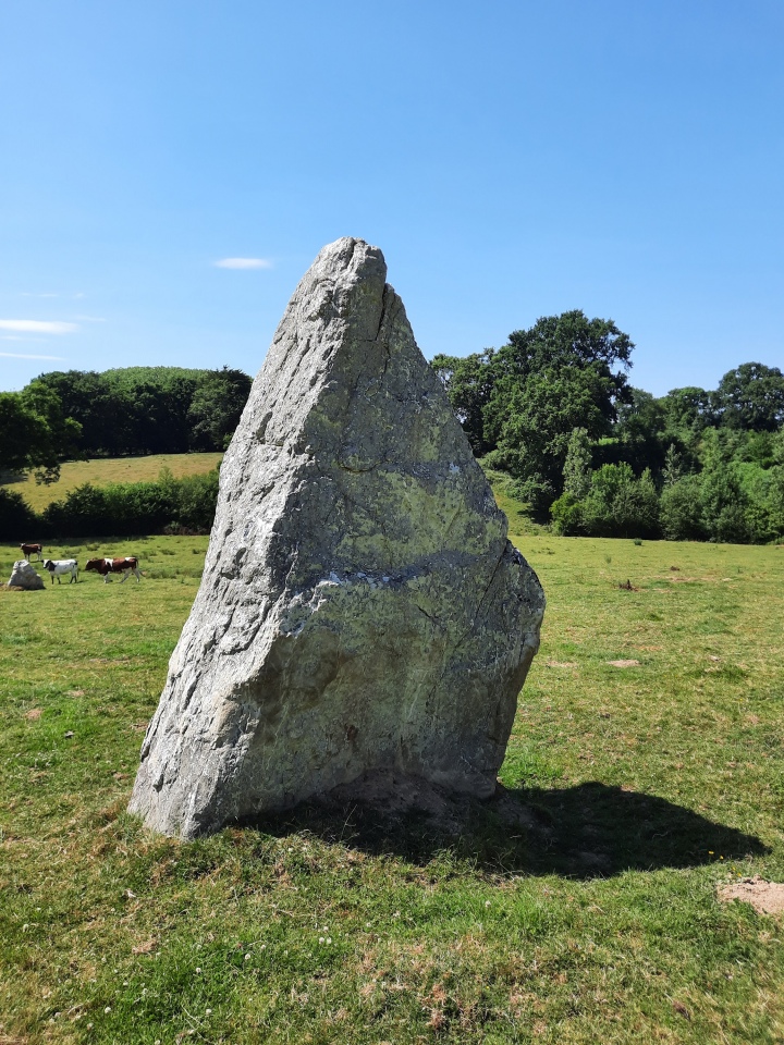 Menhirs du Bas Rocher