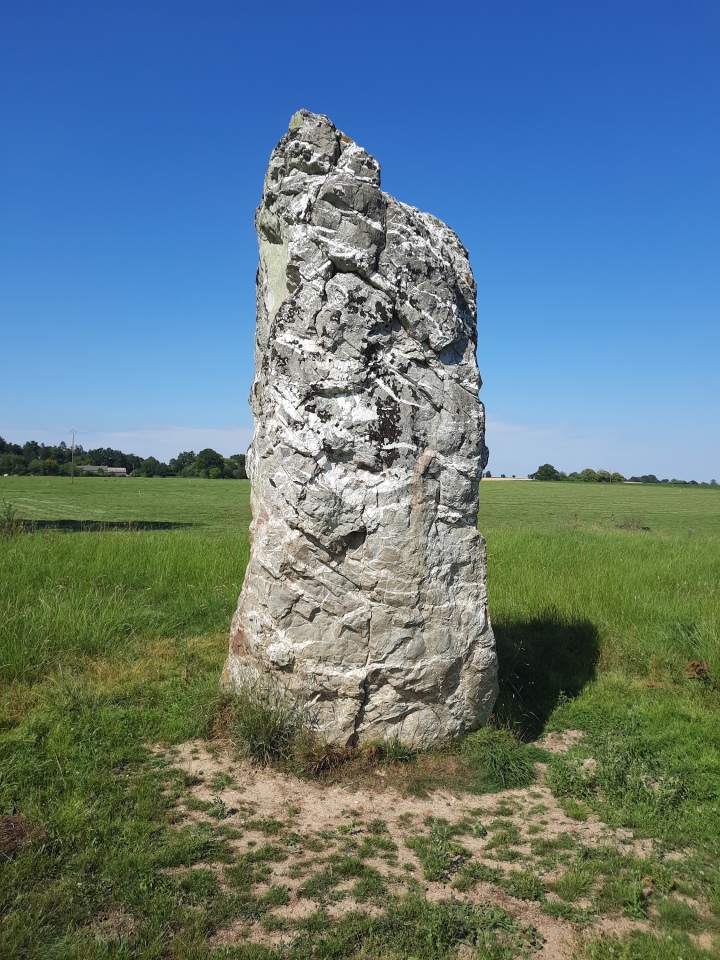 Menhir dit La Haute Pierre (Champeaux)