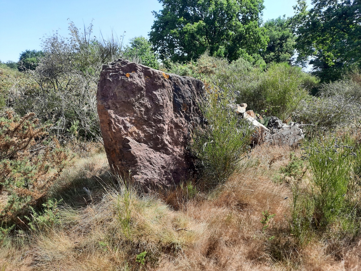 Click for the gallery page to add comments and vote (PID:246338) Menhir de la Haute Roche (Boutavent)