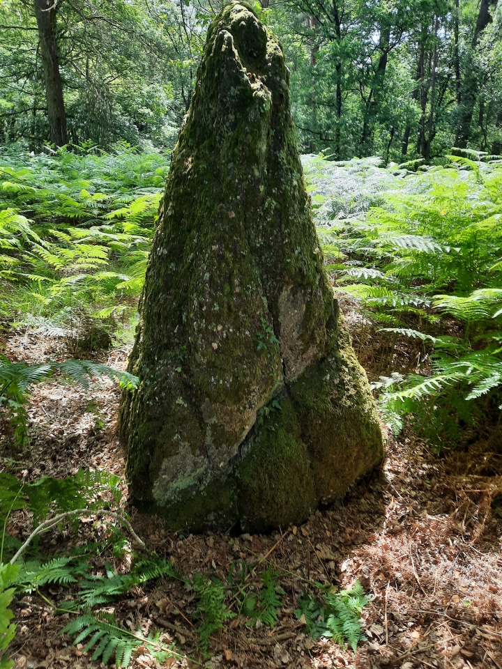 Click for the gallery page to add comments and vote (PID:246344) Menhirs de Boutavent