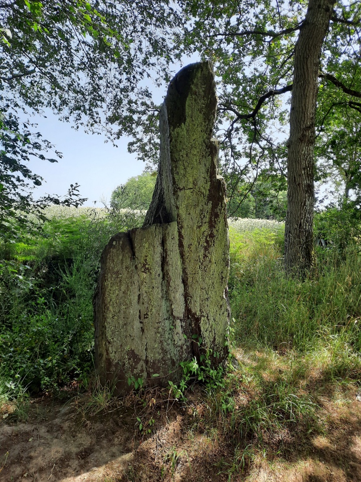 Ville Guichais menhir