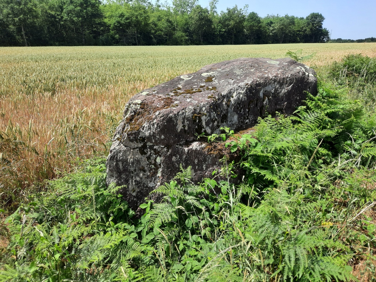 Click for the gallery page to add comments and vote (PID:246348) Menhir de Coisbois
