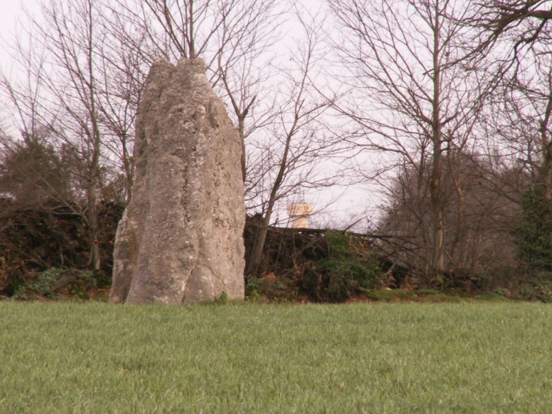 Pierre Blanche (Pocé-les-Bois)