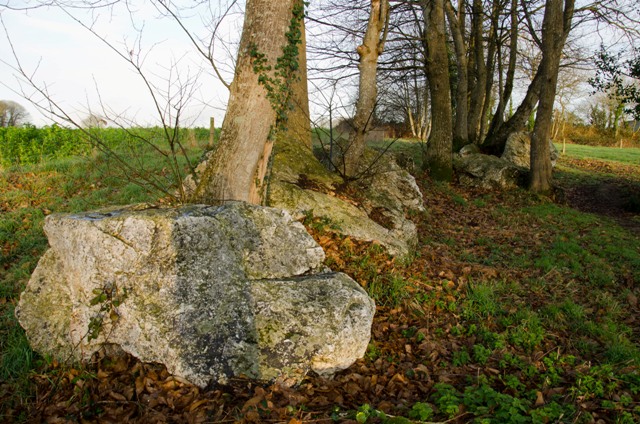 Clos du Rocher