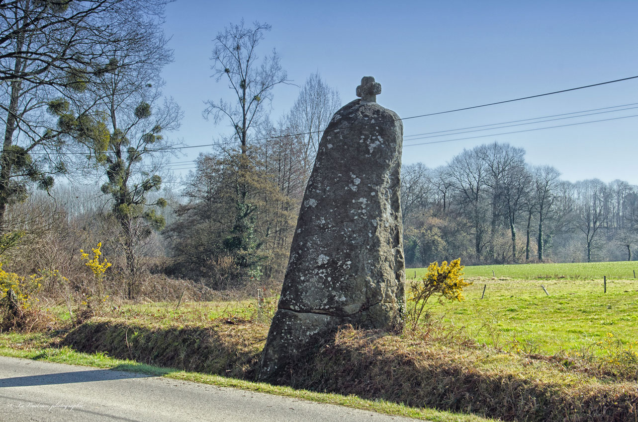Click for the gallery page to add comments and vote (PID:194204) Pierre Longue (Noyal-sous-Bazouges)