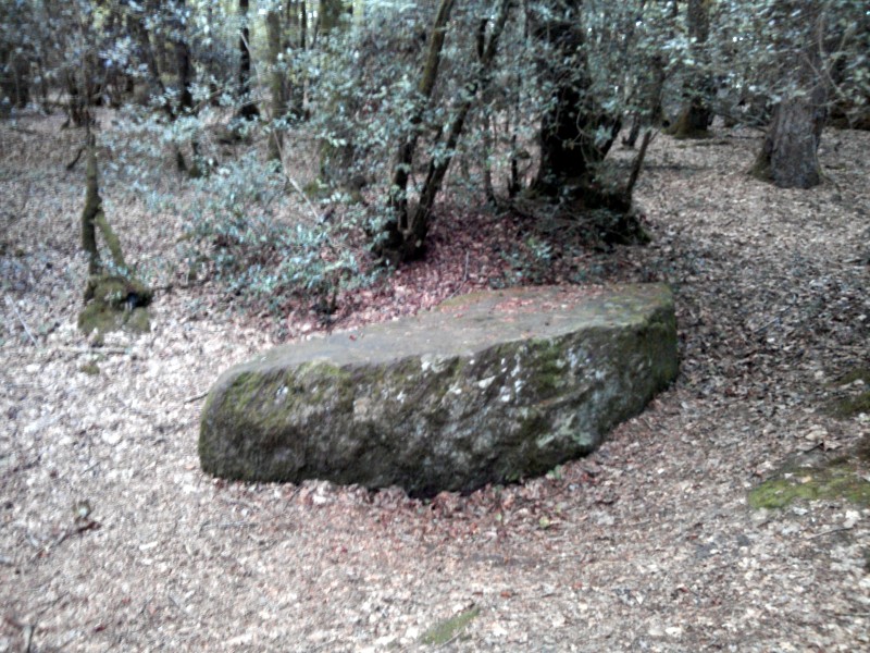 Gres de Saint-Meen dolmen