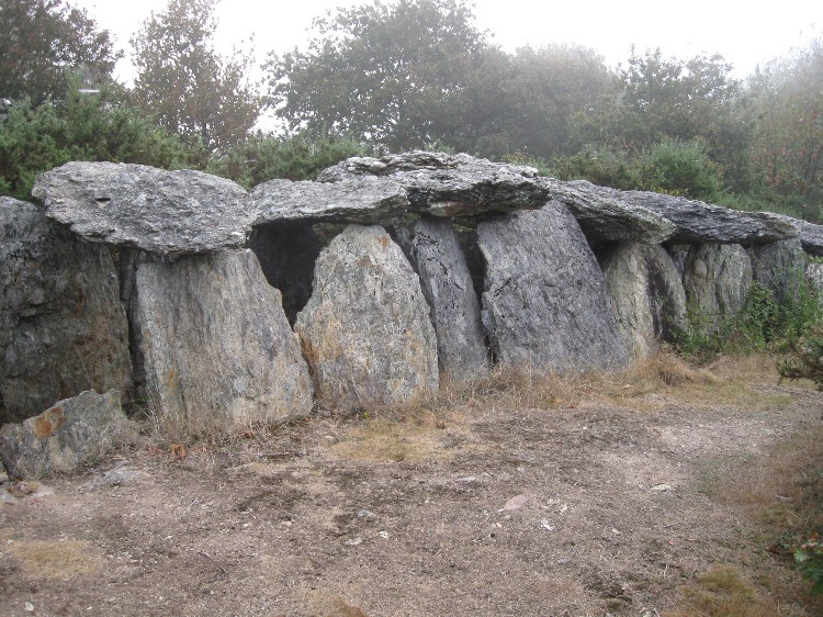 Grotte-aux-Fées (Tréal)