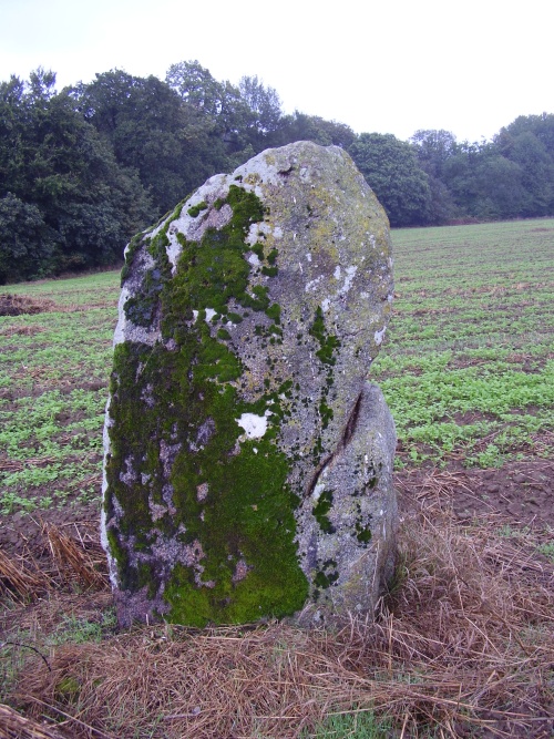 Menhir de la Pierre Fichée (La Pinelais)