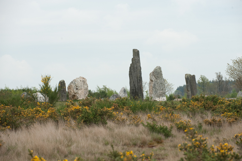 Click for the gallery page to add comments and vote (PID:128268) Alignements du Moulin S