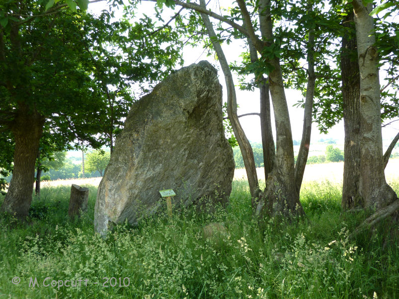 Le Cleray