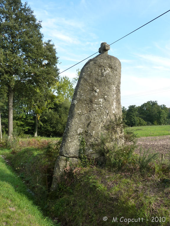 Pierre Longue (Noyal-sous-Bazouges)