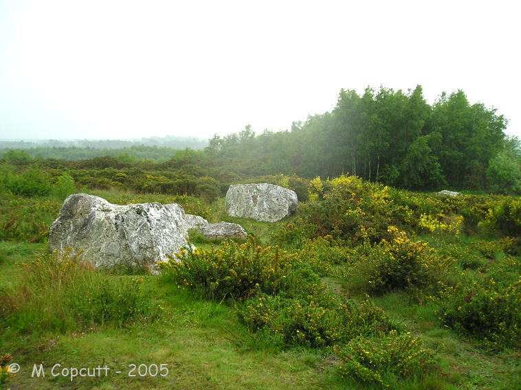 The third row I found consists of about 5 white quartz blocks to the west of the ends of the two main rows and running in a north south direction. 