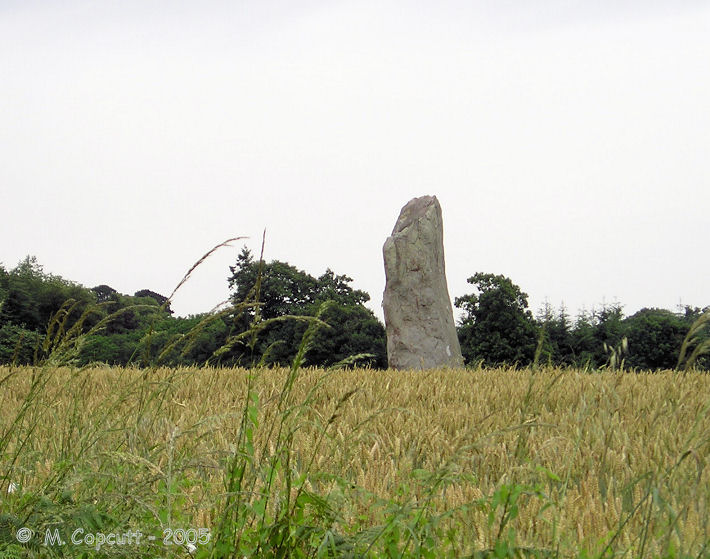 Menhir dit la Pierre du Domaine