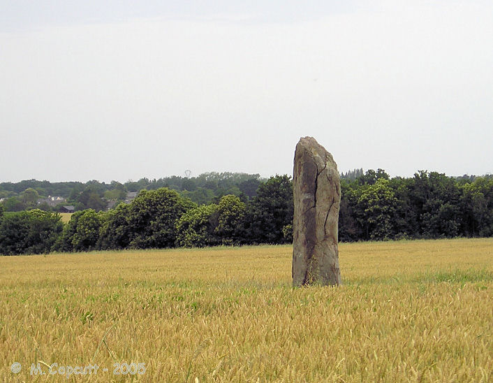 Menhir dit la Pierre du Domaine