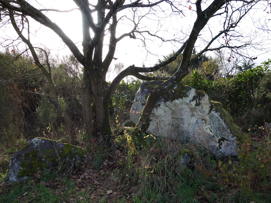 Dolmen dit la Pierre Blanche