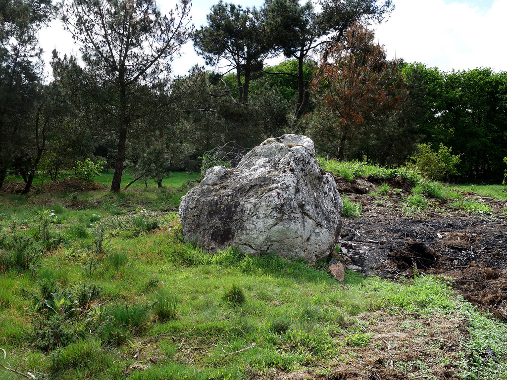 Menhir dit la Pierre Daniel