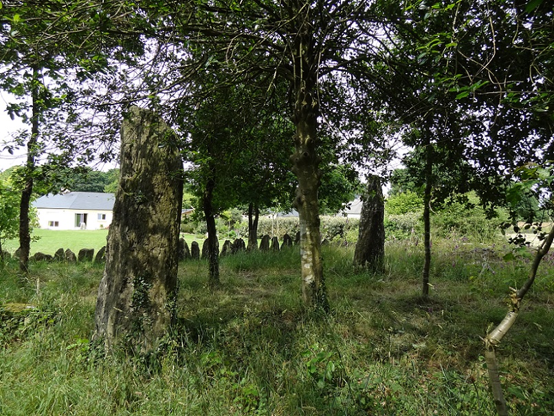 Click for the gallery page to add comments and vote (PID:178892) Sévéroué menhir