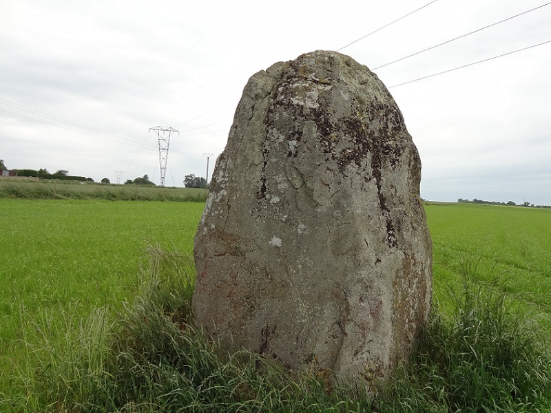 Click for the gallery page to add comments and vote (PID:178668) Menhir La Roche du Diable (Sougéal)