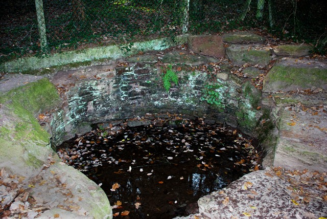Click for the gallery page to add comments and vote (PID:103714) Fontaine de Jouvence