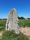 La Roche Longue (St-Marcan)