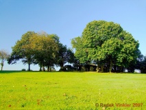 Roche-aux-Fées (Essé)