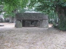 Roche-aux-Fées (Essé)