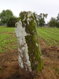 Menhir de la Pierre Fichée (La Pinelais) - PID:95754