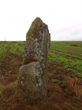 Menhir de la Pierre Fichée (La Pinelais) - PID:95756