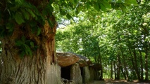 Click for full size image of Roche-aux-Fées (Essé) (PID:79810) Roche-aux-Fées (Essé)