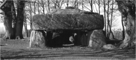 Click for full size image of Roche-aux-Fées (Essé) (PID:62793) Roche-aux-Fées (Essé)