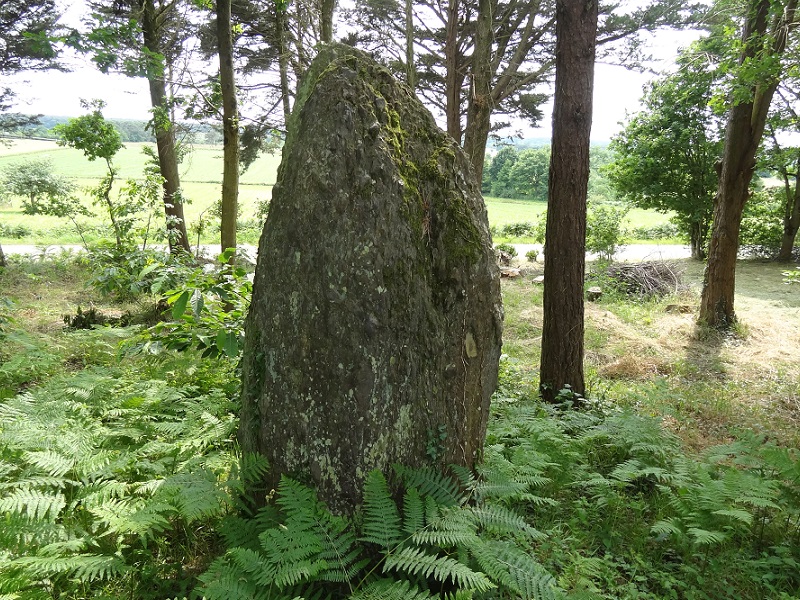 Sévéroué menhir