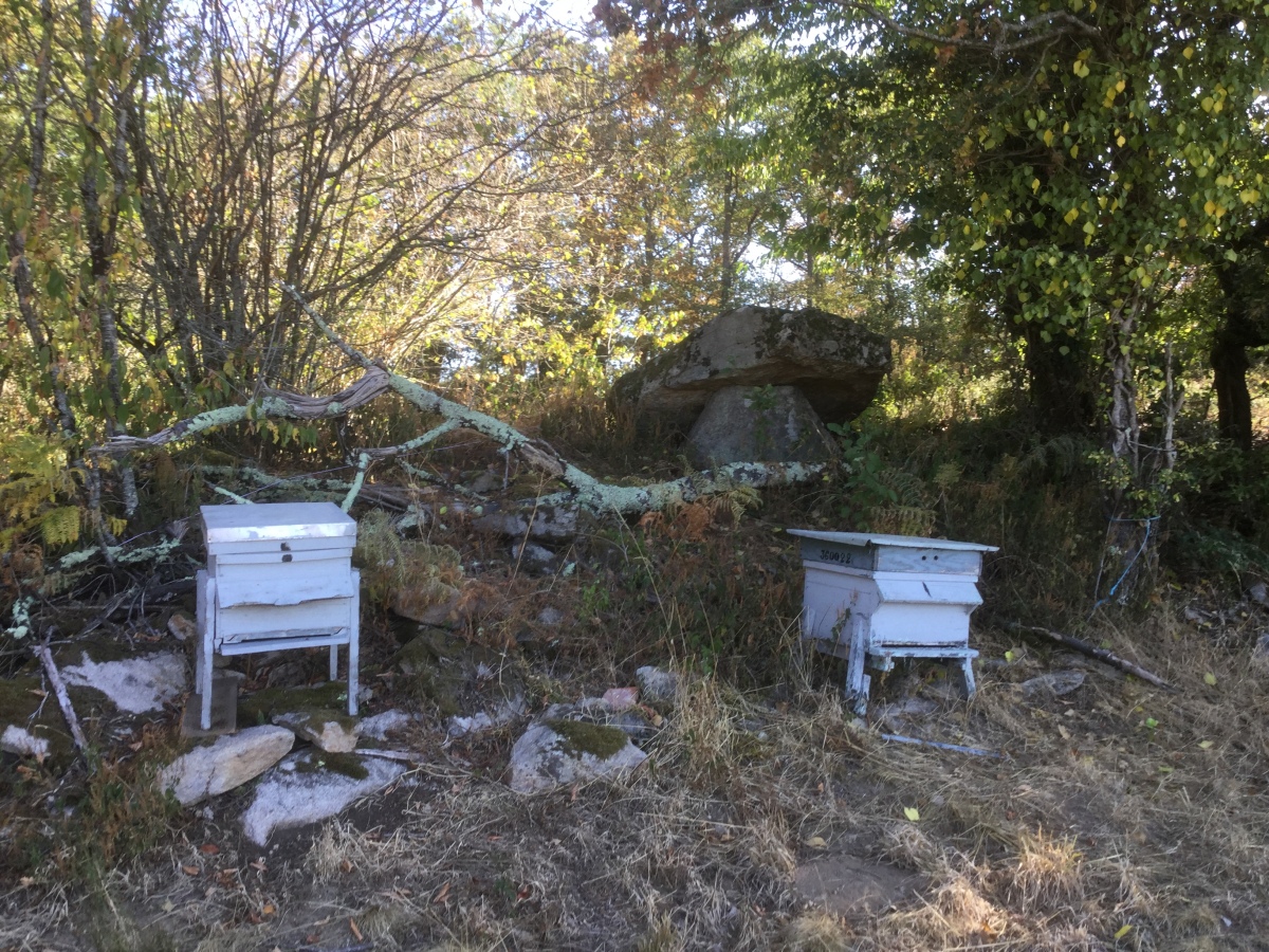 Click for the gallery page to add comments and vote (PID:201944) Dolmen dit la Pierre Chaput