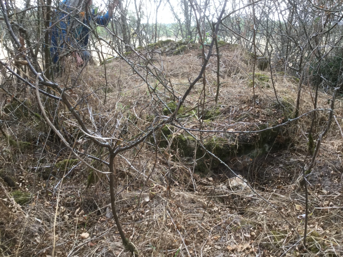 Dolmen de la Pierre-à-la-Fade