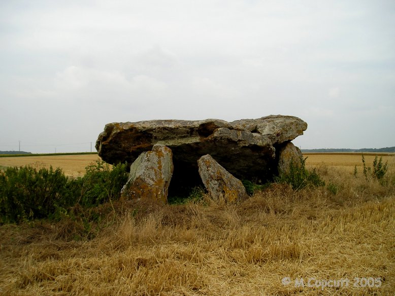 Up in the hills overlooking the Vienne river, in the Chinon wine producing area can be found the remains of this dolmen. 
 
Site in Centre:Indre-et-Loire (37) France

