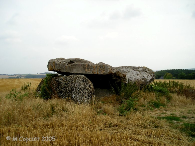 Up in the hills overlooking the Vienne river, in the Chinon wine producing area can be found the remains of this dolmen. 
 
Site in Centre:Indre-et-Loire (37) France

