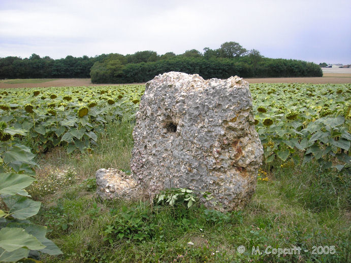 Menhir de Coinche