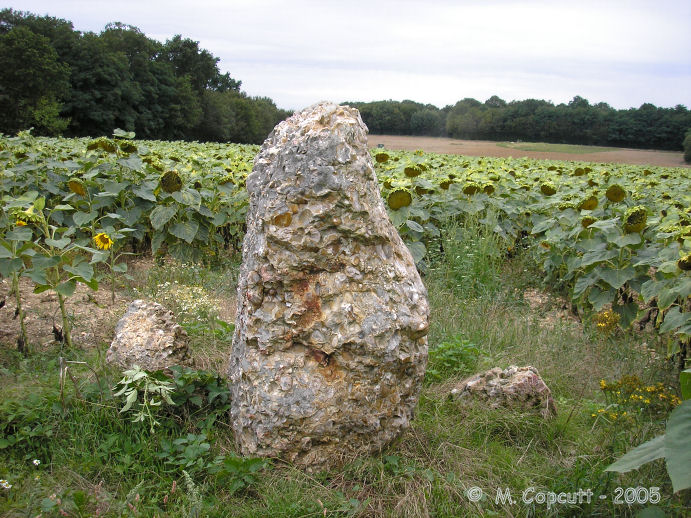 Menhir de Coinche